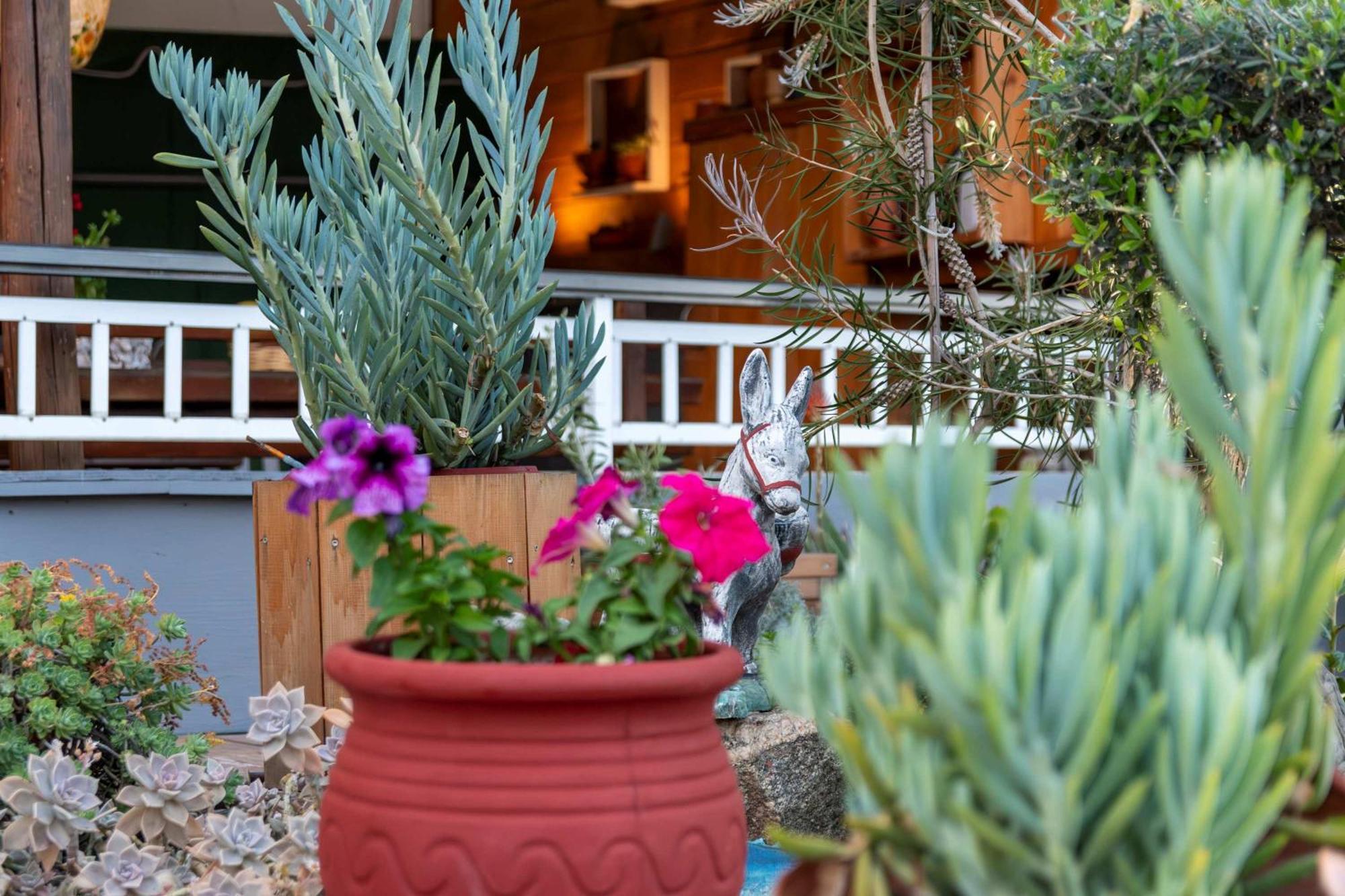 House Niki Daire Sarti Dış mekan fotoğraf
